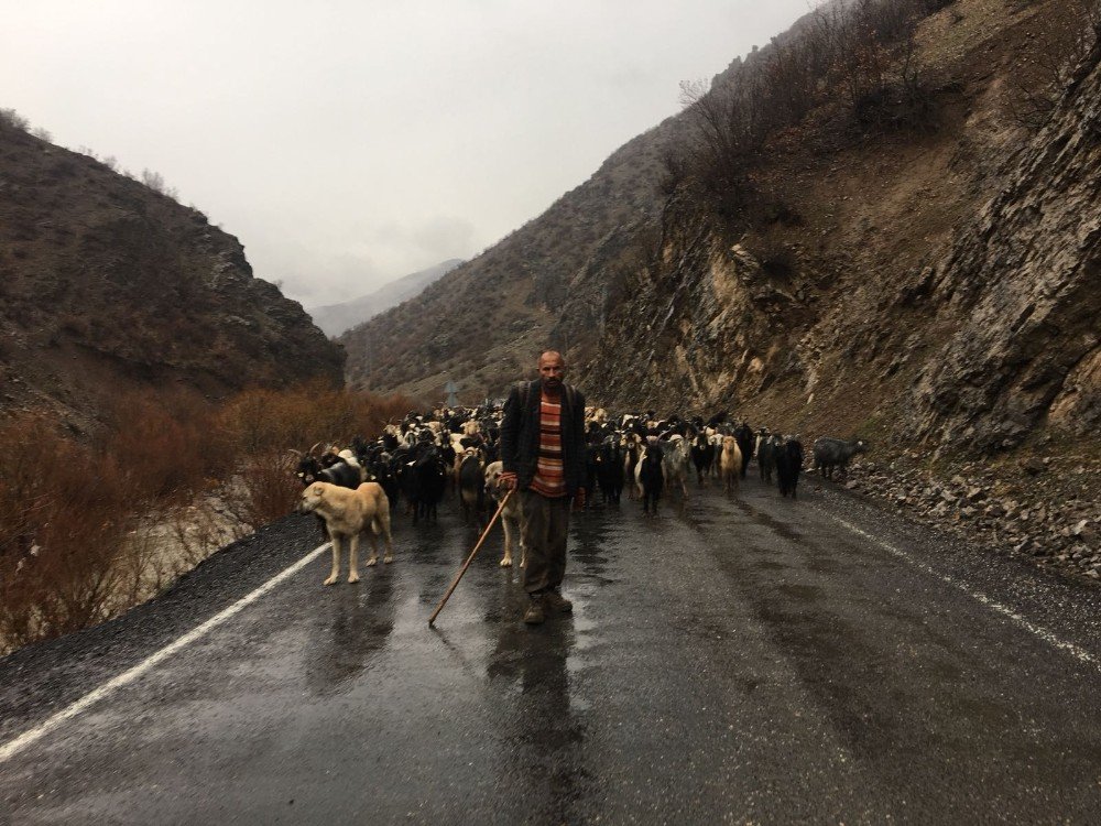 Beytüşşebaplı engelli çobanın yaşam mücadelesi