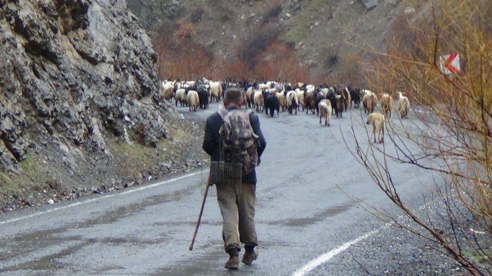 Beytüşşebaplı engelli çobanın yaşam mücadelesi