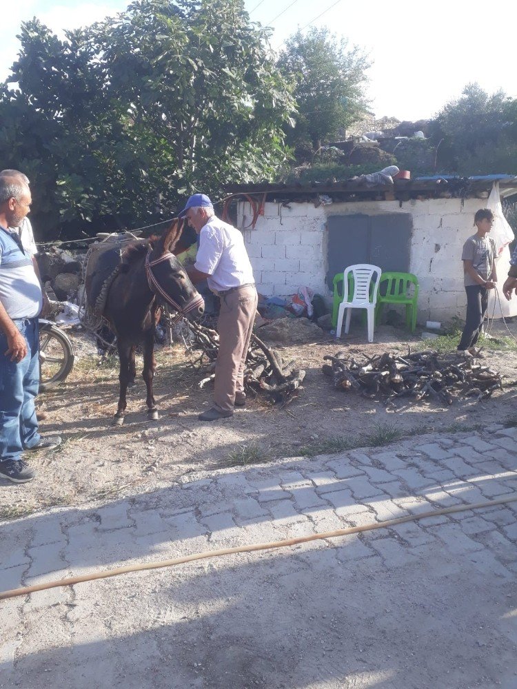 Okumuş çocuklar geleneklerinden vazgeçmedi