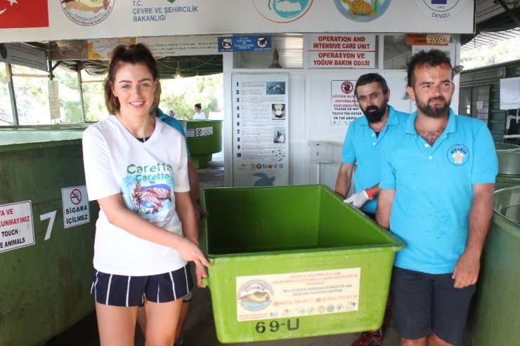 İngiltere güzellik kraliçesi kaplumbağayı denize bıraktı