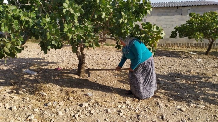 Köyde ev kadınıydı, sette sinema yapımcısı oldu