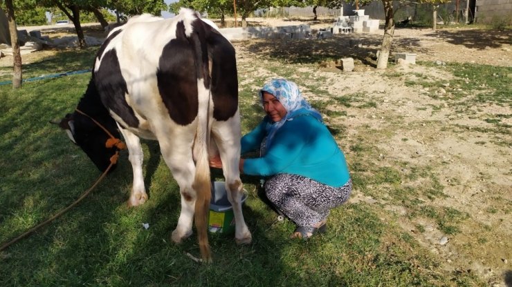 Köyde ev kadınıydı, sette sinema yapımcısı oldu